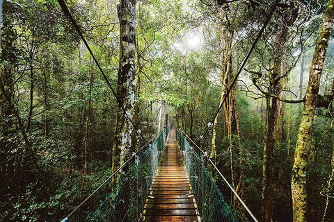 O'Reilly's & Lamington National Park From Gold Coast - Accommodation Brunswick Heads 0