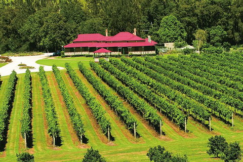 O'Reilly's & Lamington National Park From Gold Coast - Accommodation Brunswick Heads 2