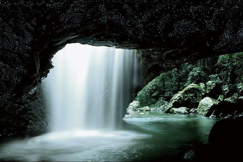 Natural Bridge Glow Worm Night Tour From Gold Coast - Accommodation Brunswick Heads 0