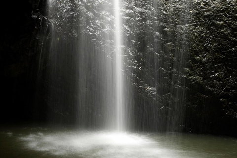 Natural Bridge Glow Worm Night Tour From Gold Coast - Accommodation Brunswick Heads 2