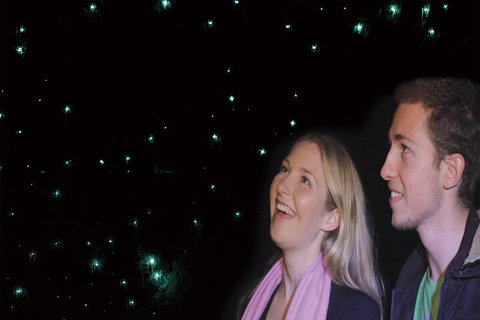 Natural Bridge Glow Worm Night Tour From Gold Coast - Accommodation Brunswick Heads 3