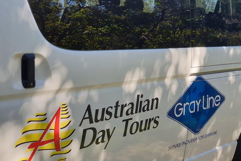 Natural Bridge Glow Worm Night Tour From Gold Coast - Accommodation Brunswick Heads 5