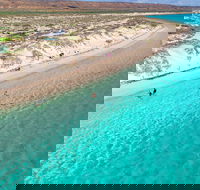 Ningaloo in a Day - Full Day Hike and Snorkel Tour with Lunch - Accommodation Brunswick Heads