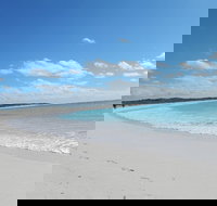 Shipwreck Special Nature Tour/Half Day Tour - Accommodation Brunswick Heads