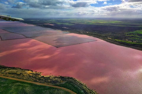 Kalbarri, Pink Lake And Abrolhos Islands Nature Tour - Accommodation Brunswick Heads 1