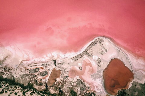 Kalbarri, Pink Lake And Abrolhos Islands Nature Tour - Accommodation Brunswick Heads 2