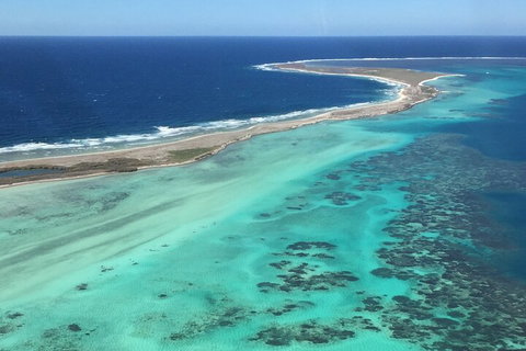 Kalbarri, Pink Lake And Abrolhos Islands Nature Tour - Accommodation Brunswick Heads 3
