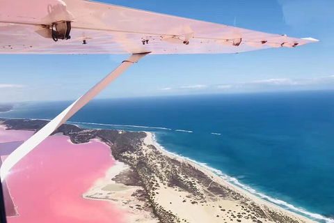 Kalbarri, Pink Lake And Abrolhos Islands Nature Tour - Accommodation Brunswick Heads 4