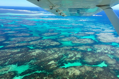 Kalbarri, Pink Lake And Abrolhos Islands Nature Tour - Accommodation Brunswick Heads 5