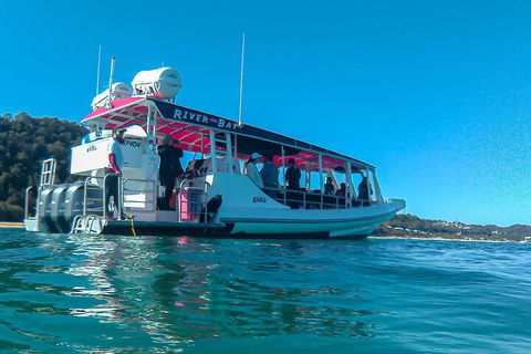 Best Of Moreton Bay Cruise - Accommodation Brunswick Heads 0