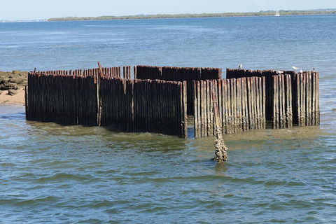 Best Of Moreton Bay Cruise - Accommodation Brunswick Heads 1