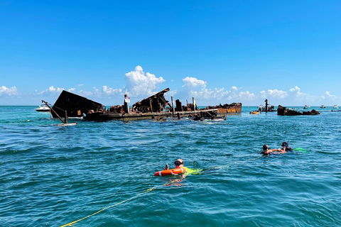 Best Of Moreton Bay Cruise - Accommodation Brunswick Heads 5