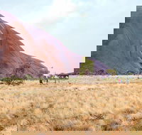 Uluru Sunrise and Guided Base Walk - Accommodation Brunswick Heads