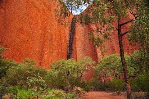 Uluru Sunrise And Guided Base Walk - Accommodation Brunswick Heads 3
