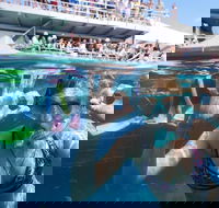 Great Barrier Reef Day Cruise from Cairns Including Snorkeling and Marine Biologist Presentation - Accommodation Brunswick Heads