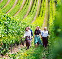 Tasmanian Wine Tour - Accommodation Brunswick Heads