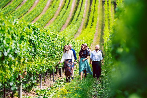 Tasmanian Wine Tour - Accommodation Brunswick Heads 0