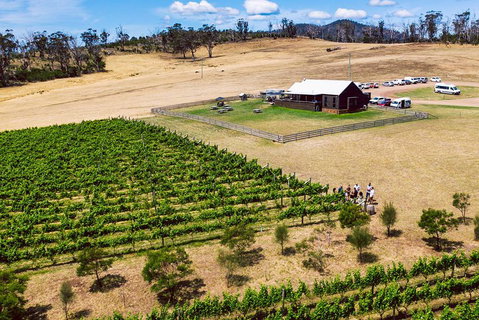 Tasmanian Wine Tour - Accommodation Brunswick Heads 3