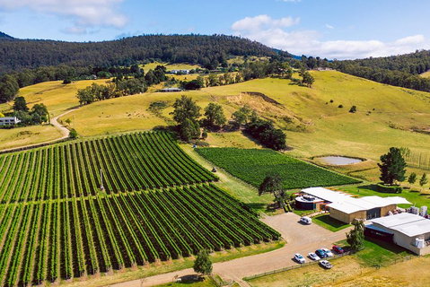 Tasmanian Wine Tour - Accommodation Brunswick Heads 4