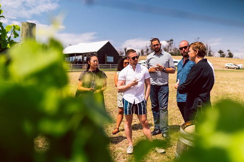 Tasmanian Wine Tour - Accommodation Brunswick Heads 5