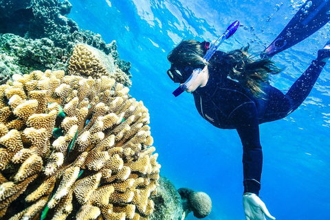 Green Island Day Trip From Cairns - Accommodation Brunswick Heads 1