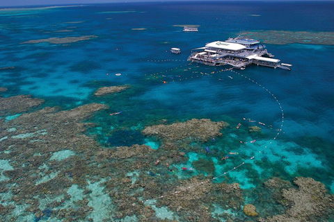 Quicksilver Outer Great Barrier Reef Snorkel Cruise From Port Douglas - Accommodation Brunswick Heads 3