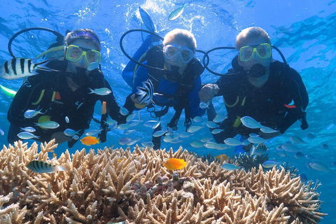 Quicksilver Outer Great Barrier Reef Snorkel Cruise From Port Douglas - Accommodation Brunswick Heads 4