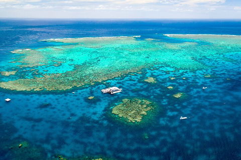 Quicksilver Outer Great Barrier Reef Snorkel Cruise From Port Douglas - Accommodation Brunswick Heads 5