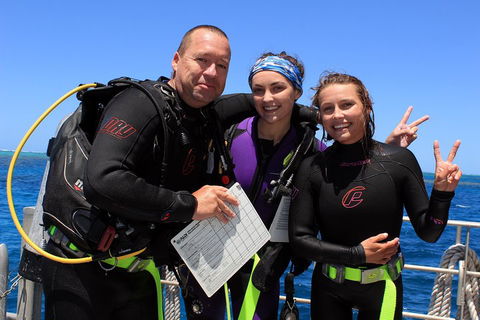 Quicksilver Dive 4 Day PADI Learn To Dive Course - Accommodation Brunswick Heads 0