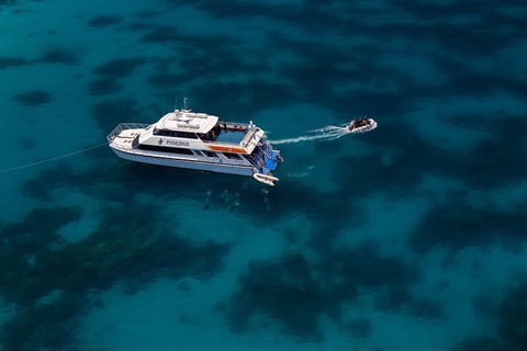 Quicksilver Dive 4 Day PADI Learn To Dive Course - Accommodation Brunswick Heads 1