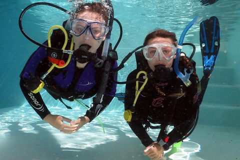 Quicksilver Dive 4 Day PADI Learn To Dive Course - Accommodation Brunswick Heads 2