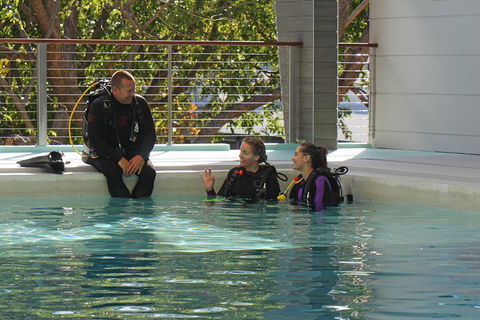 Quicksilver Dive 4 Day PADI Learn To Dive Course - Accommodation Brunswick Heads 3