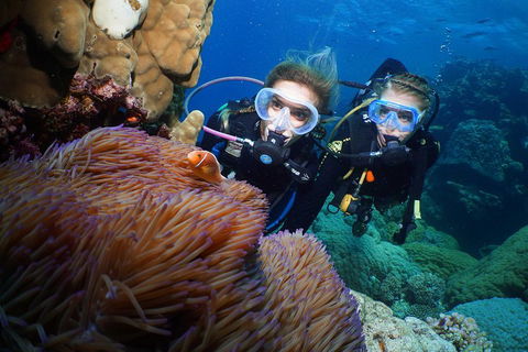 Quicksilver Dive 4 Day PADI Learn To Dive Course - Accommodation Brunswick Heads 4