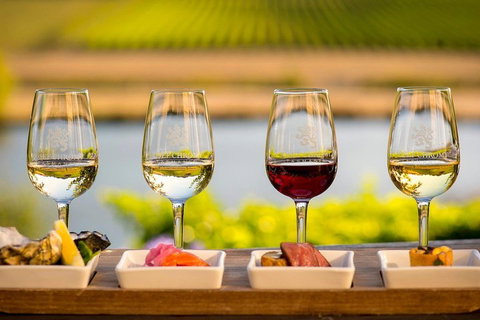 West Tamar Wine Tour - Accommodation Brunswick Heads 1