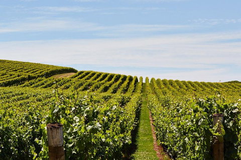 West Tamar Wine Tour - Accommodation Brunswick Heads 2