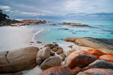 Wineglass Bay Private Charter Service - Accommodation Brunswick Heads 0