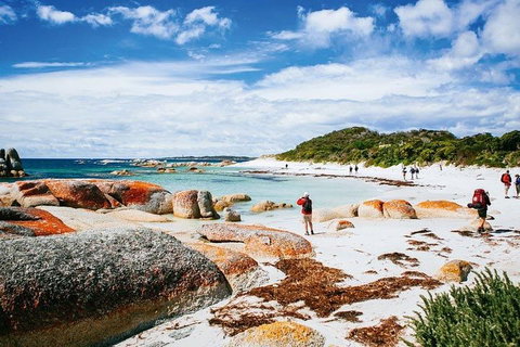 Wineglass Bay Private Charter Service - Accommodation Brunswick Heads 3