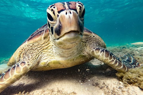 Sail, Snorkel, SUP & Kayak Charter Whitsundays - Accommodation Brunswick Heads 0