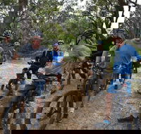 Fully guided E-Mountain Bike Tour on the beautiful Mornington Peninsula. - Accommodation Brunswick Heads