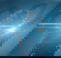 Great Opera Hits at the Sydney Opera House - Accommodation Brunswick Heads