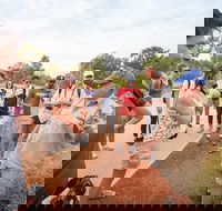 Uluru Kata Tjuta and Kings Canyon Camping Safari from Ayers Rock - Accommodation Brunswick Heads