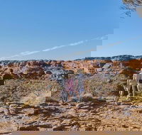 The Amazing Kings Canyon 4-Hours Walking Tour and Hike - Accommodation Brunswick Heads