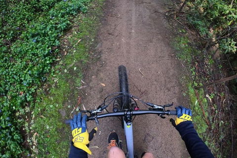 Explore Downhill Mountain In 3-Hour Bike Tour From Hobart - Accommodation Brunswick Heads 2