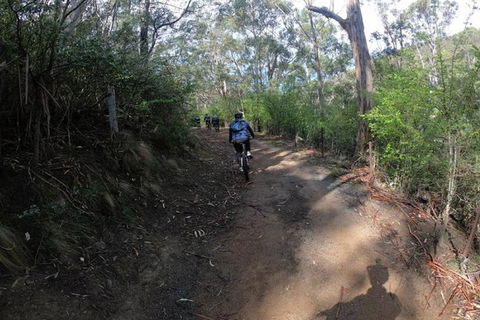 Explore Downhill Mountain In 3-Hour Bike Tour From Hobart - Accommodation Brunswick Heads 3