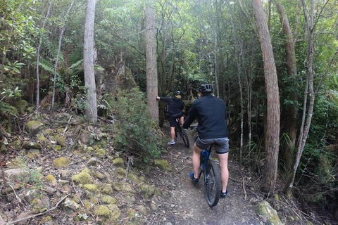 Explore Downhill Mountain In 3-Hour Bike Tour From Hobart - Accommodation Brunswick Heads 4
