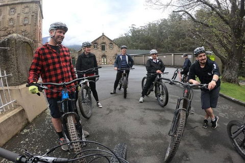 Explore Downhill Mountain In 3-Hour Bike Tour From Hobart - Accommodation Brunswick Heads 5