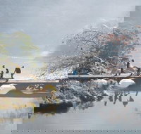 3.5 Hours Walking Tour to Cataract Gorge with Local Guide - Accommodation Brunswick Heads