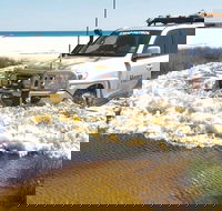 Full-Day Moreton Island 4x4 Sightseeing Tour - Accommodation Brunswick Heads