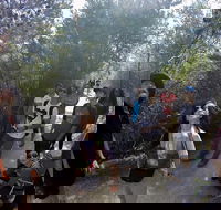 Active Day Tour One-Way from Launceston to Hobart via Wineglass Bay - Accommodation Brunswick Heads