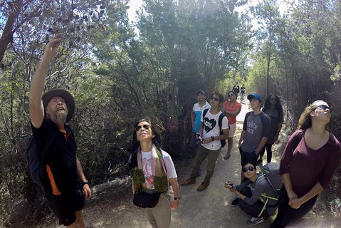 Active Day Tour One-Way From Launceston To Hobart Via Wineglass Bay - Accommodation Brunswick Heads 0